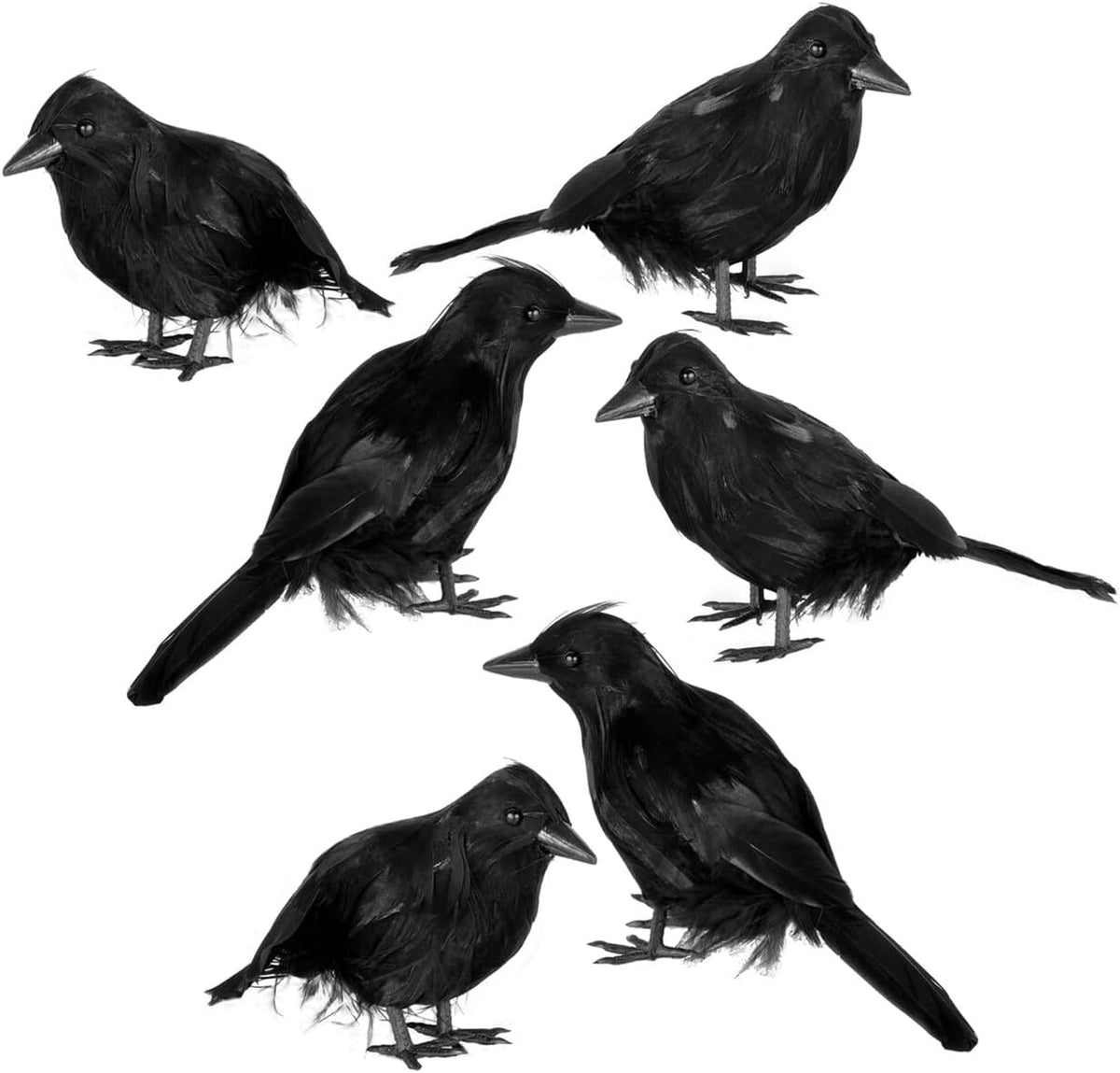 Black Feathered Crows – 6 Piece Halloween Decoration