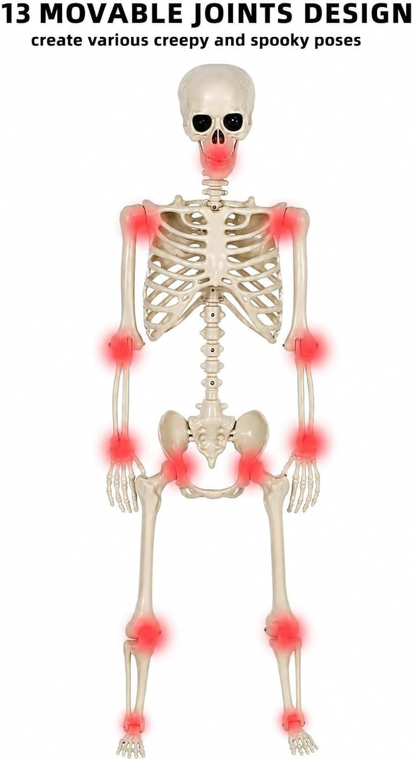 Life-Size Poseable Skeleton – 90 cm Halloween Decoration – view 5