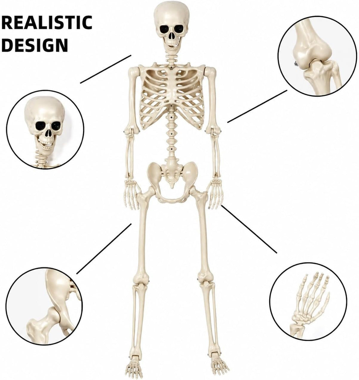 Life-Size Poseable Skeleton – 90 cm Halloween Decoration – view 6