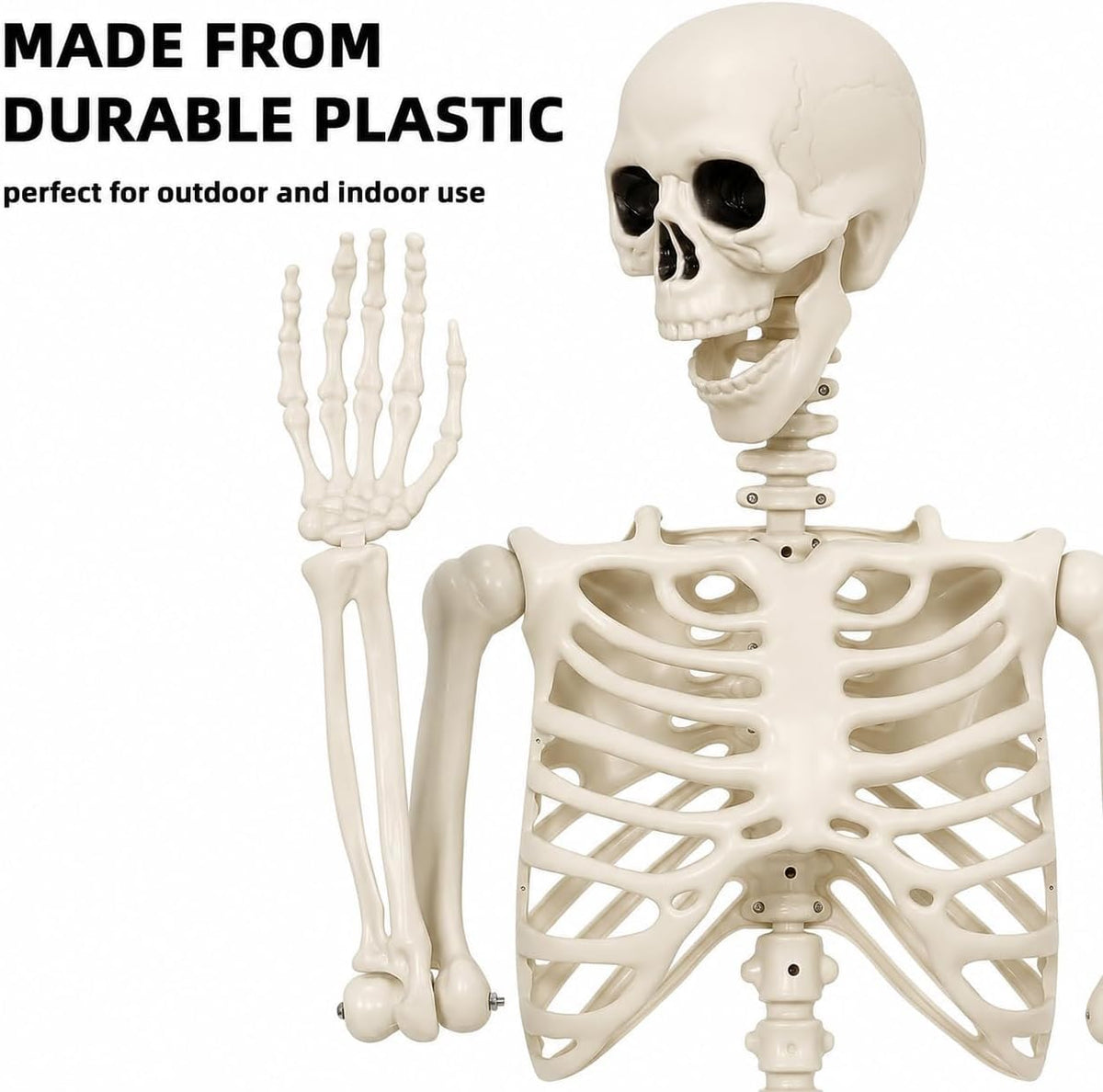 Life-Size Poseable Skeleton – 90 cm Halloween Decoration – view 3