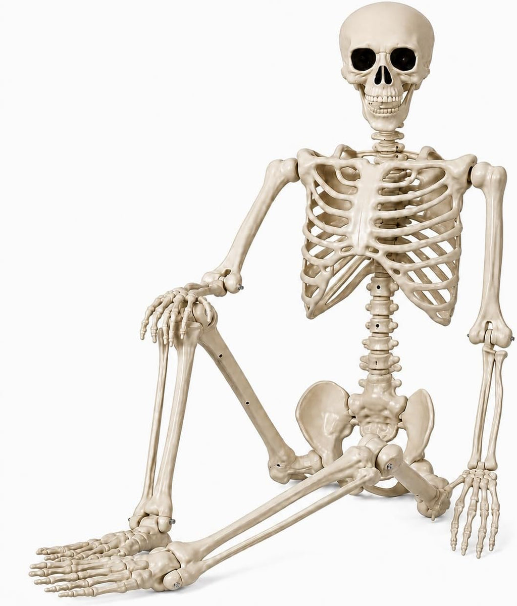Life-Size Poseable Skeleton – 90 cm Halloween Decoration