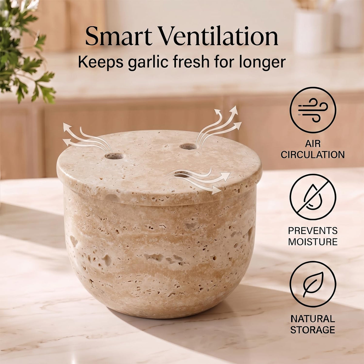 Natural Marble Garlic Keeper with Lid