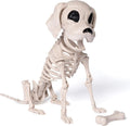 Poseable Dog Skeleton – Halloween Decoration
