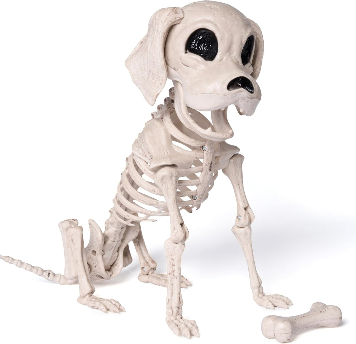 Poseable Dog Skeleton – Halloween Decoration