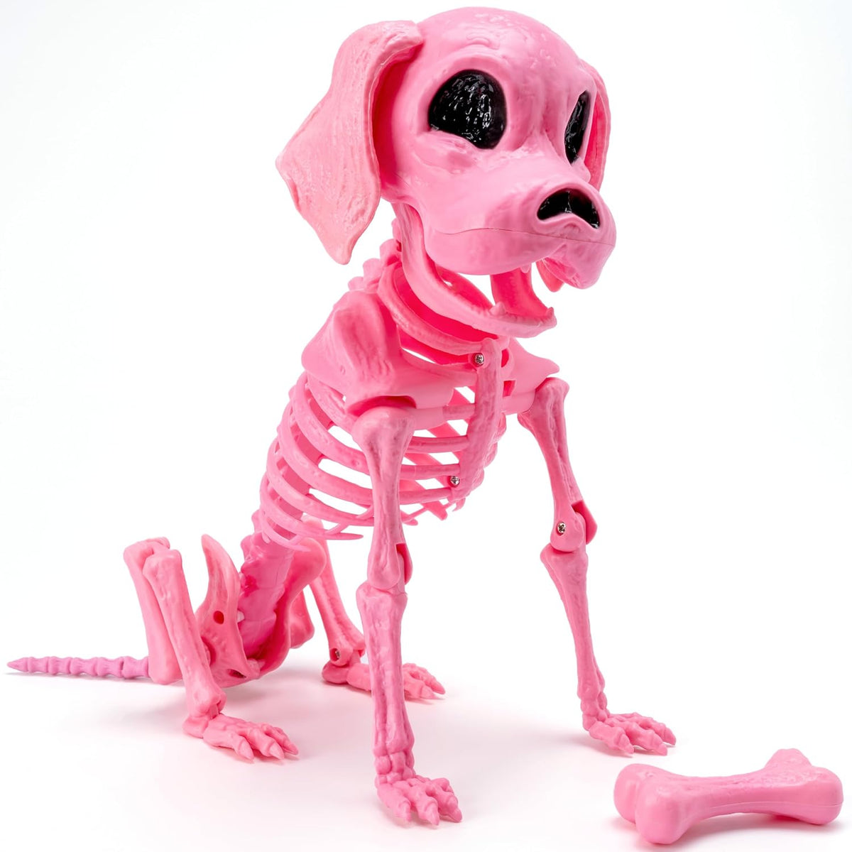 Poseable Dog Skeleton – Halloween Decoration – view 9