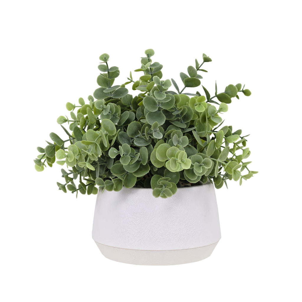 Artificial Eucalyptus Plant in White Pot