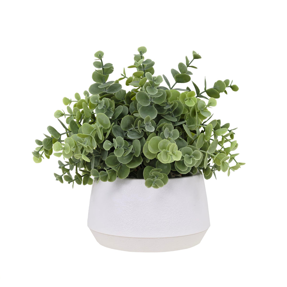 Artificial Eucalyptus Plant in White Pot