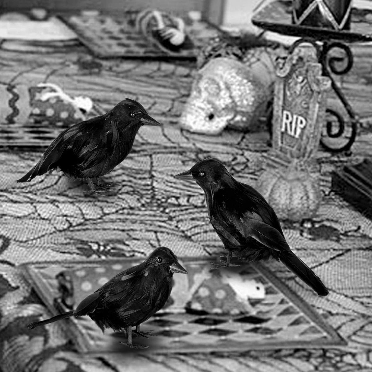 Black Feathered Crows – 6 Piece Halloween Decoration – view 8