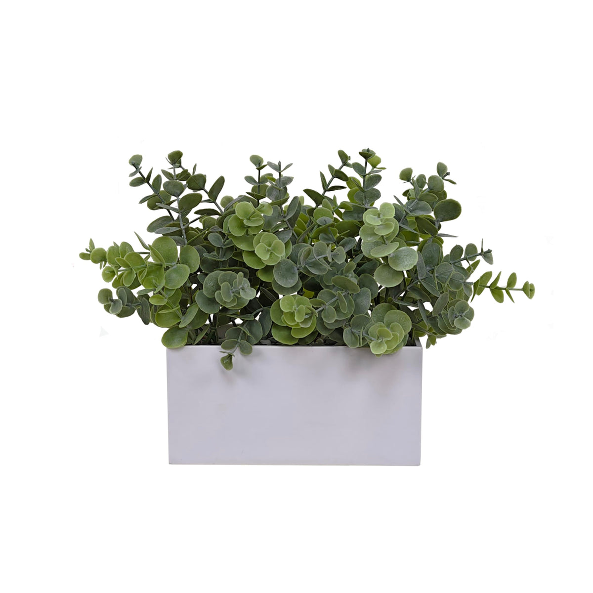 Artificial Eucalyptus Plant in White Pot