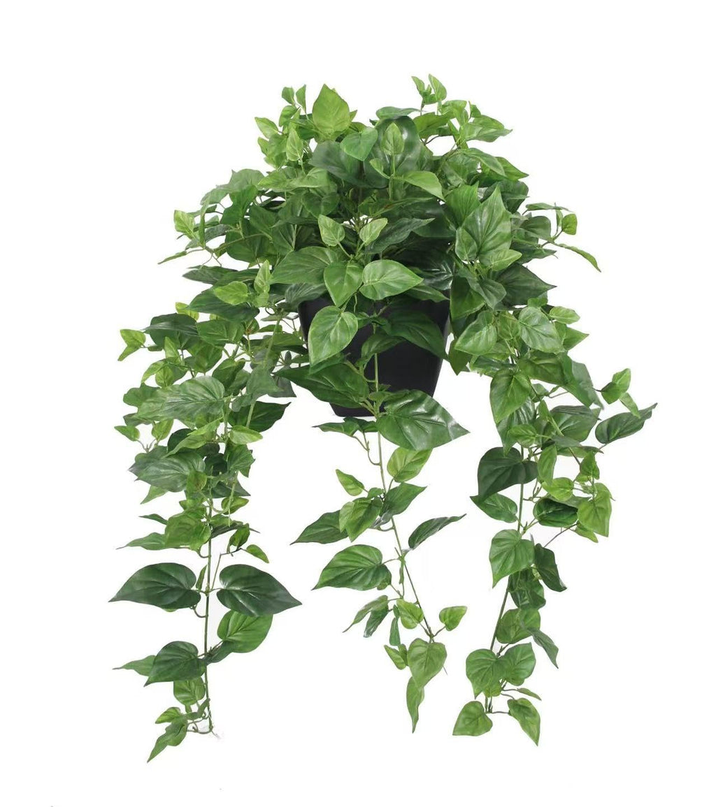 Artificial Pothos Plant in Black Pot – 75 cm