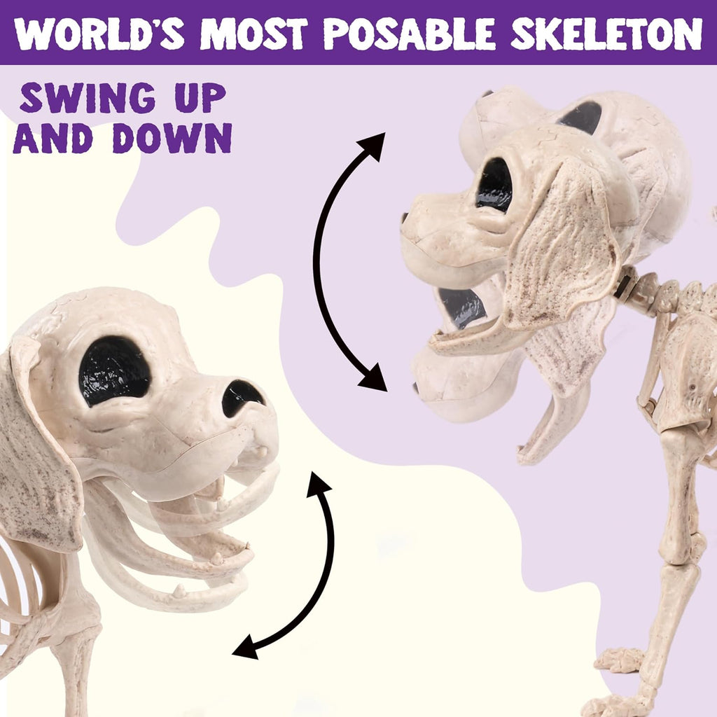 Poseable Dog Skeleton – Halloween Decoration – view 5