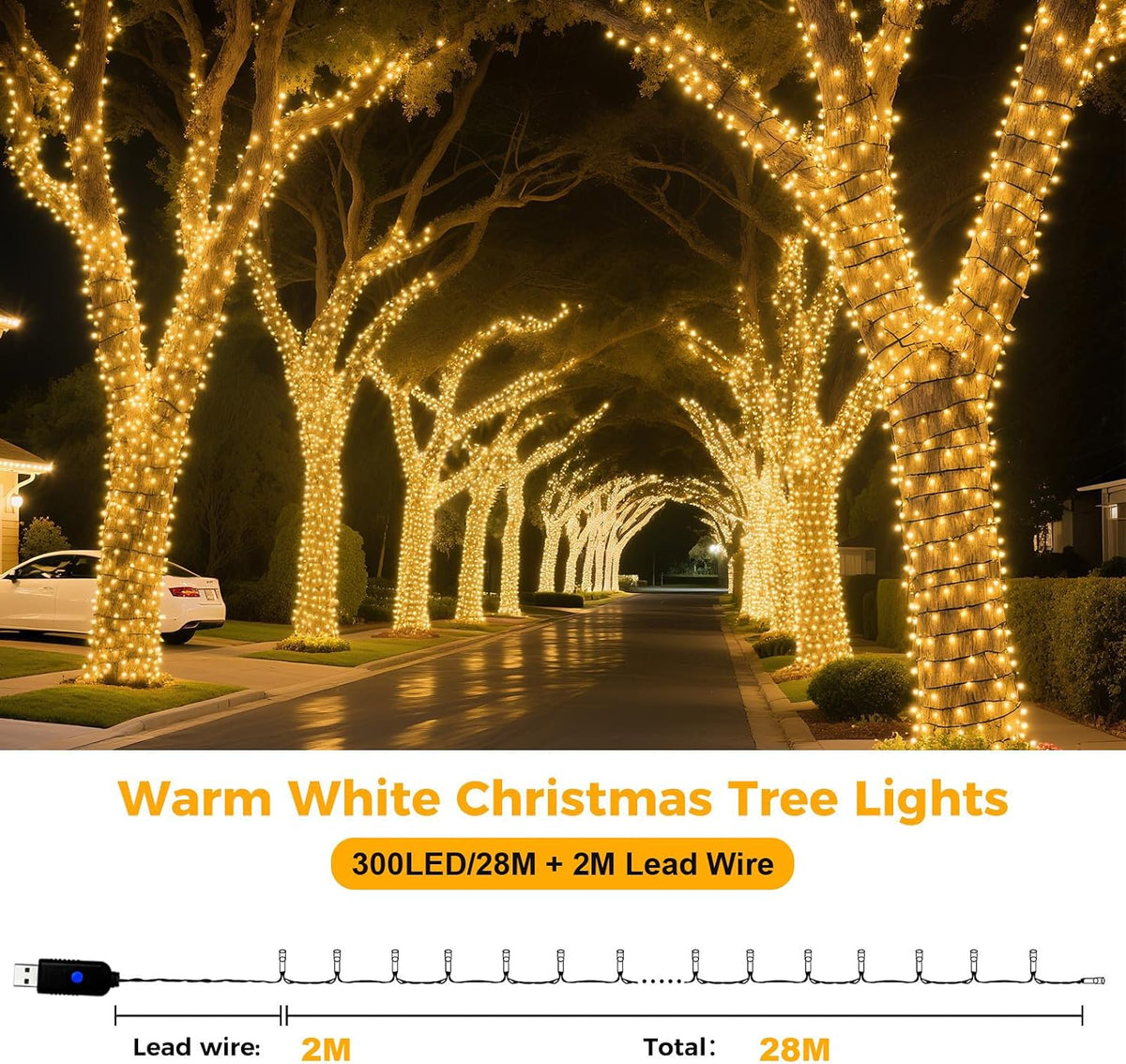USB Christmas Fairy Lights – 200 or 300 LED, 8 Modes – view 3