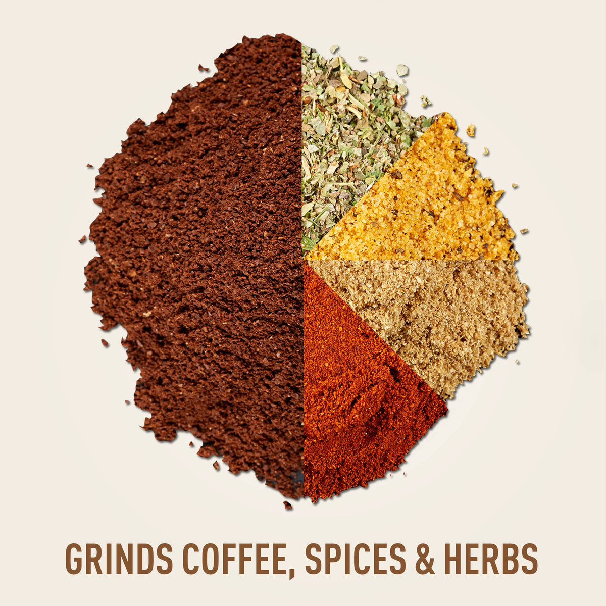 Sunbeam Multigrinder II – Coffee, Herb & Spice Grinder