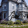 Giant Spider Web Set with 1.5 m Spider