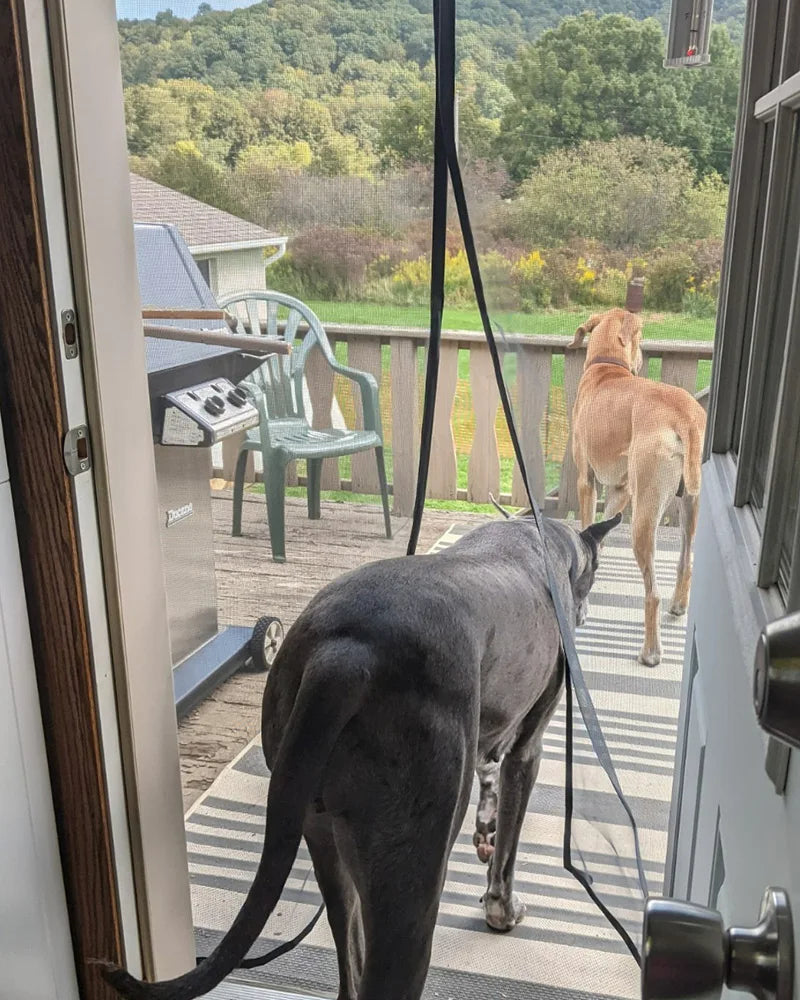 Magnetic Fly Screen Door – Hands-Free, No Drilling